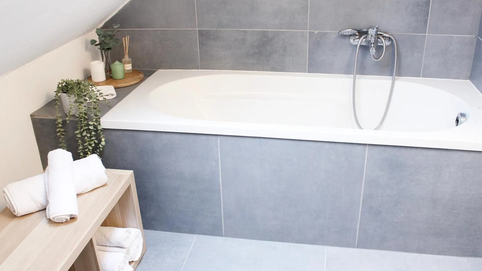 Apartment Niederkassel I Koeln I Bonn Germany